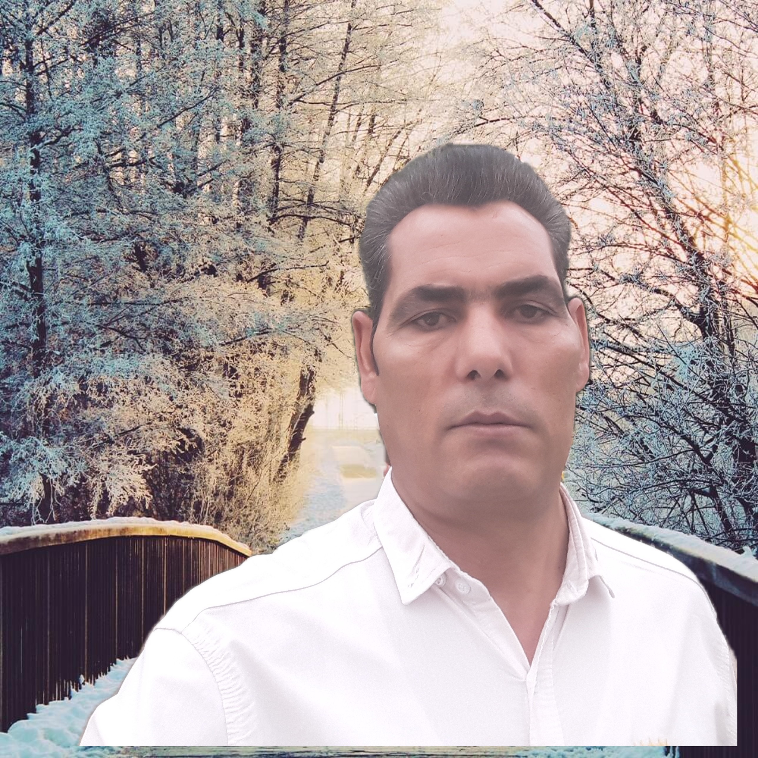 محمدعلی