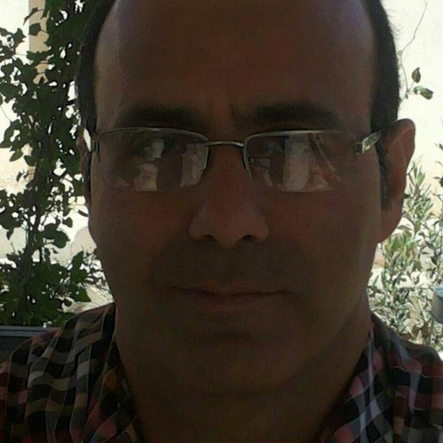 مجتبی