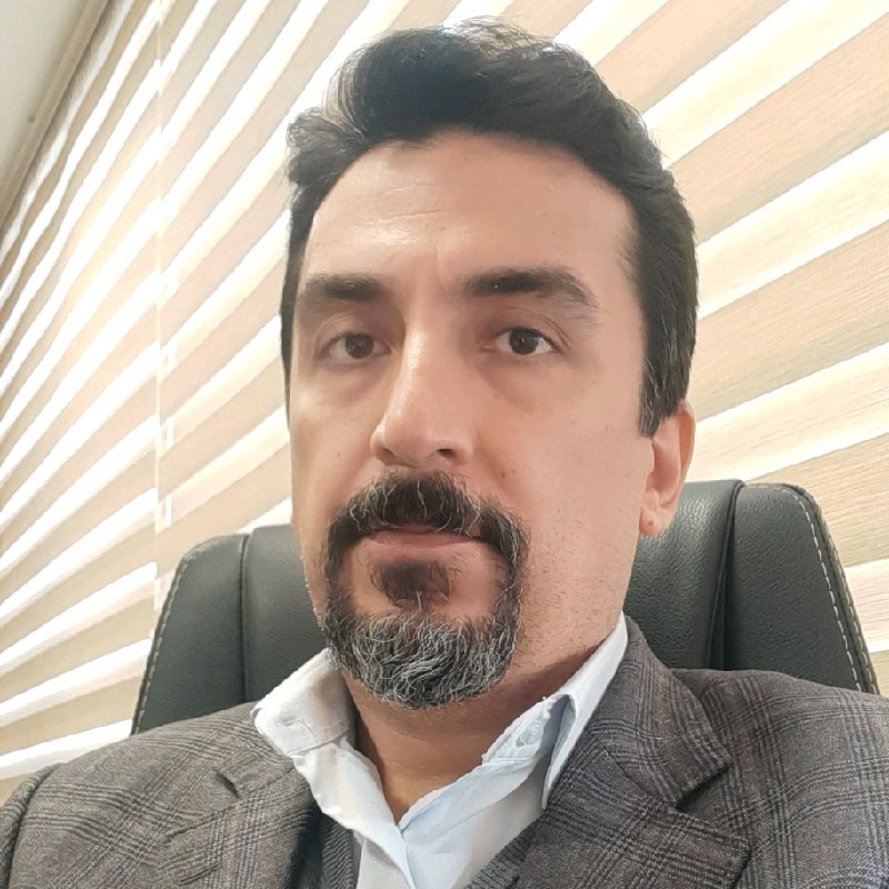 حامد