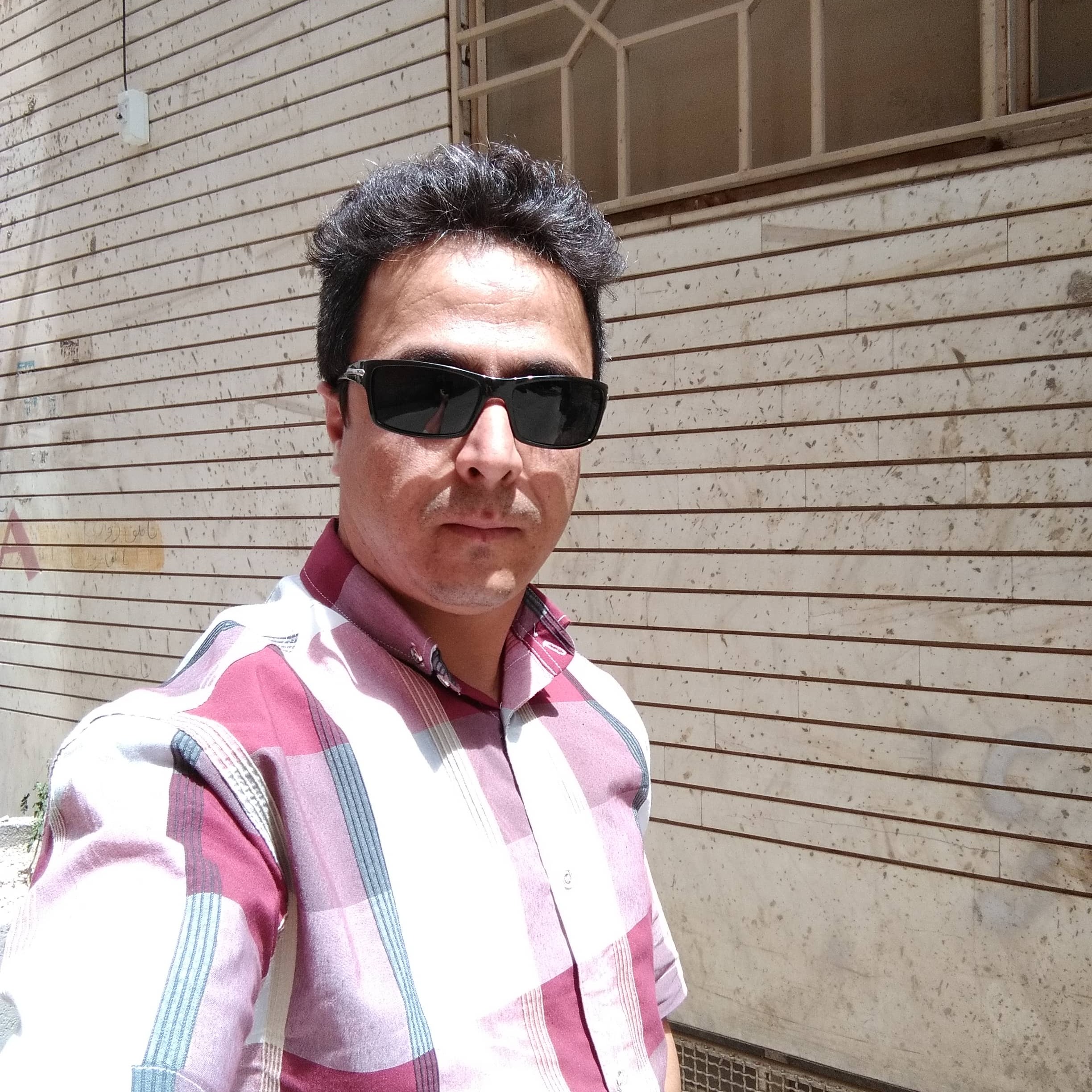 مجتبی