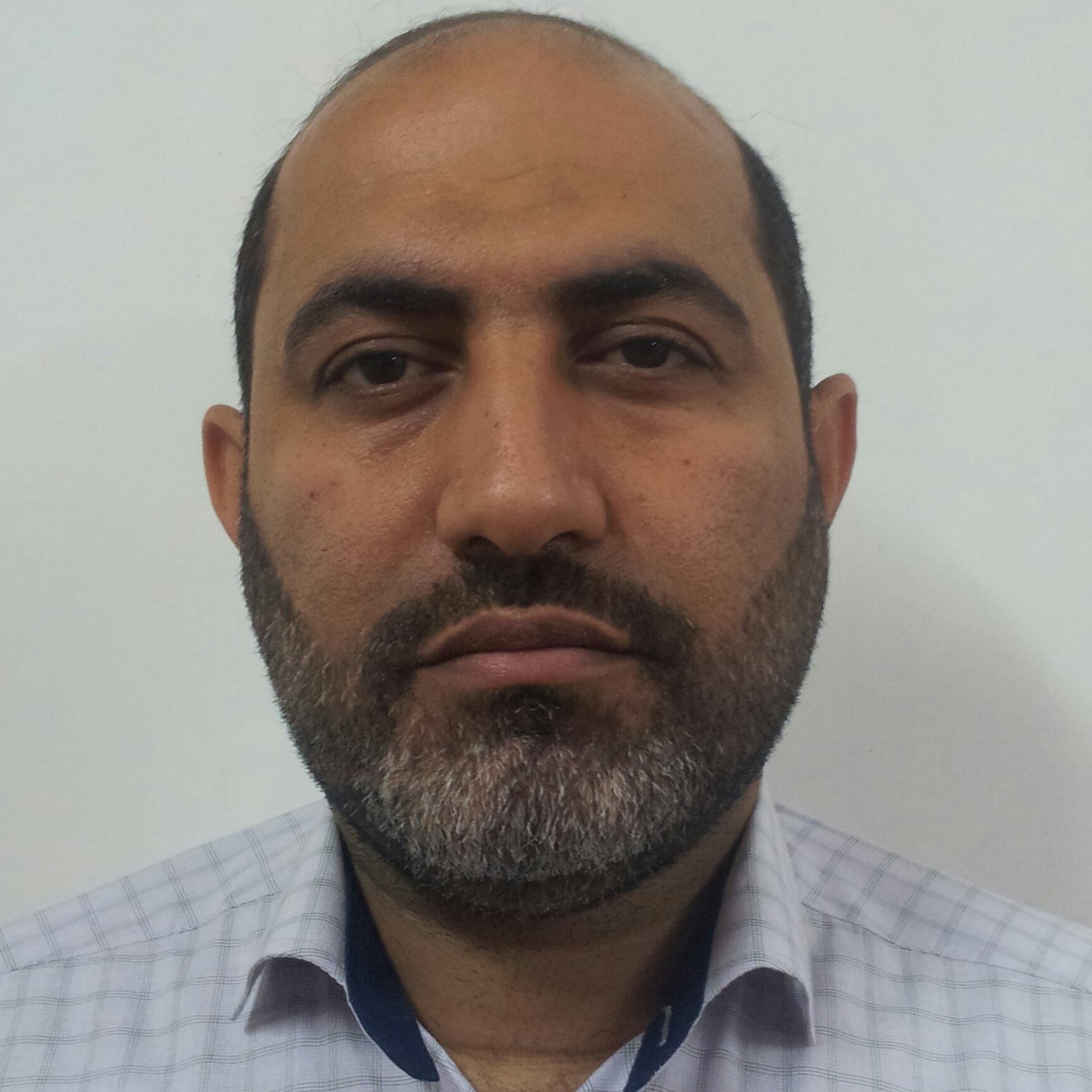 محمدرضا