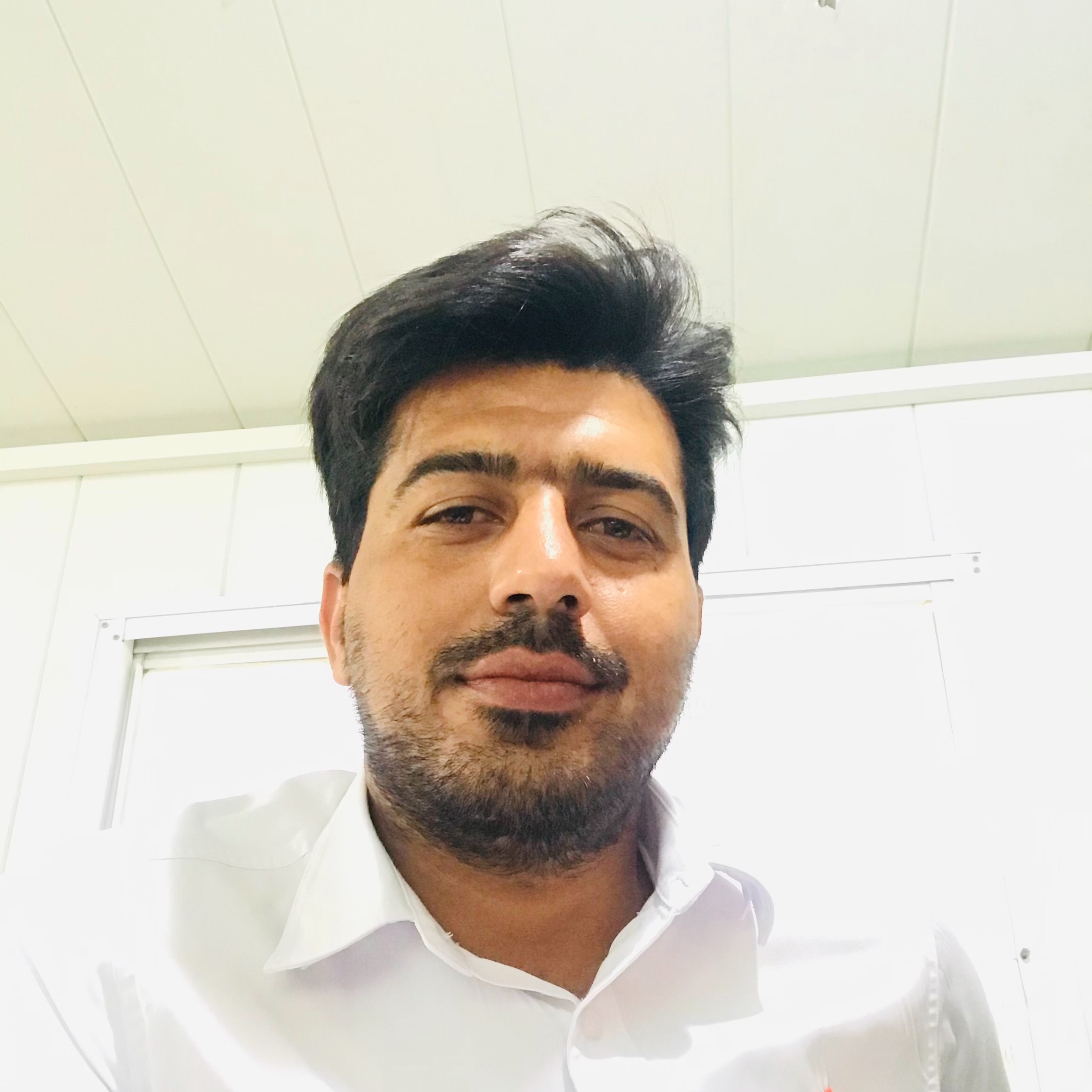 فردین