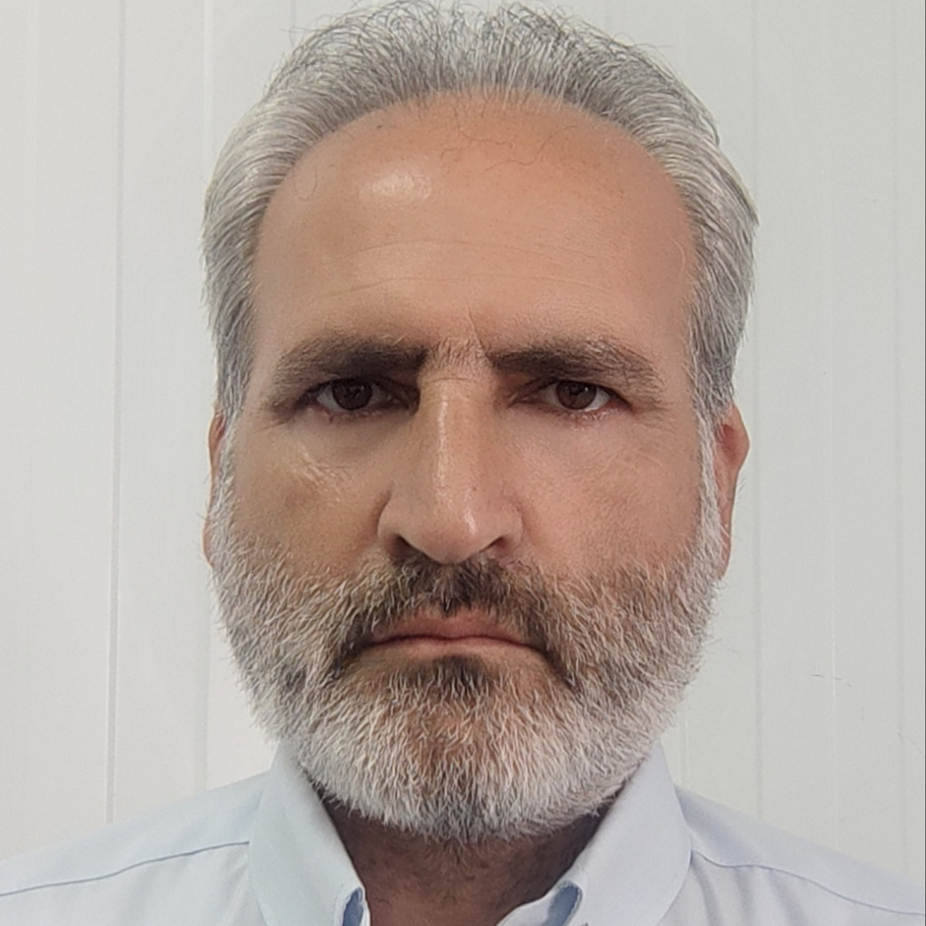 بیژن