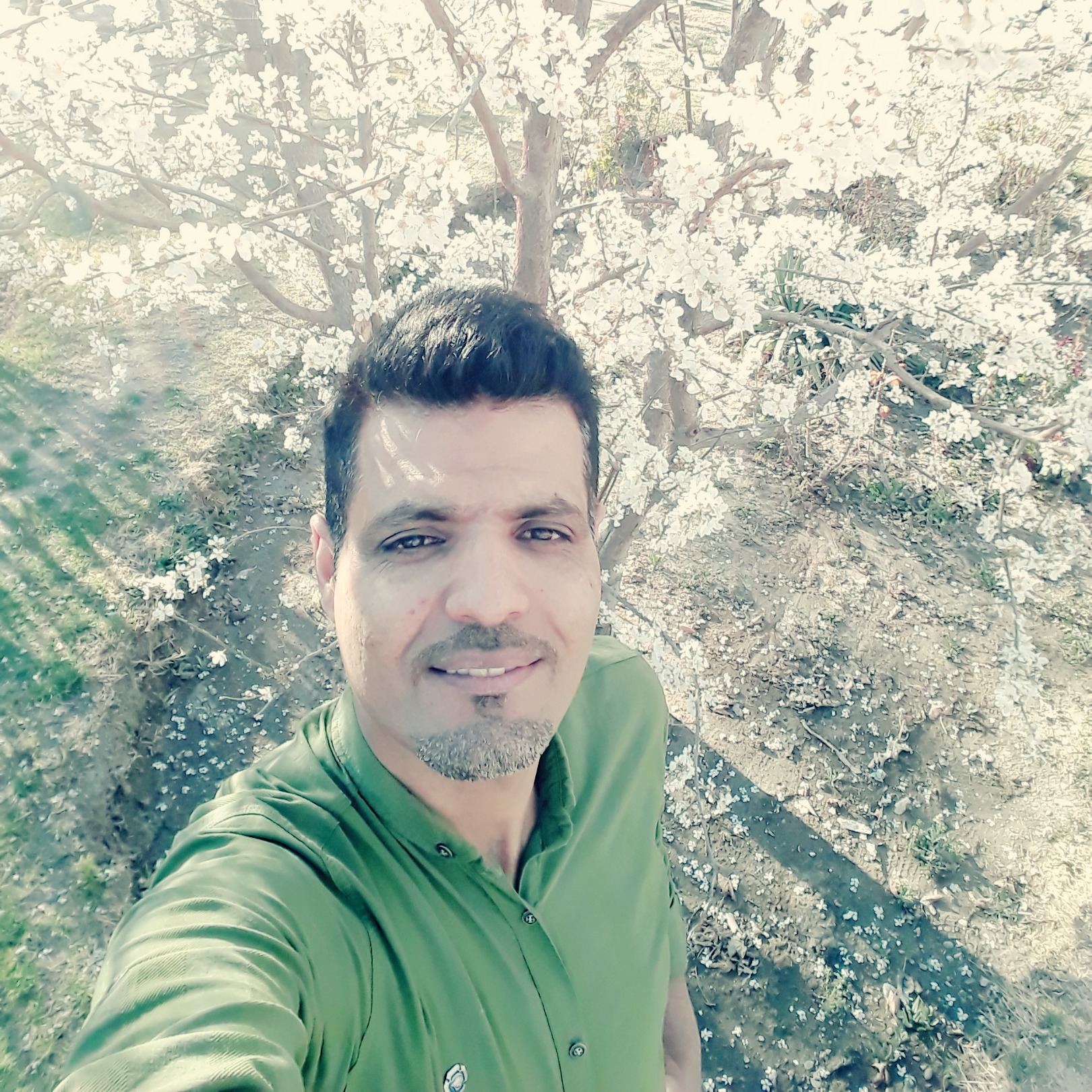 صفدر رئیسی