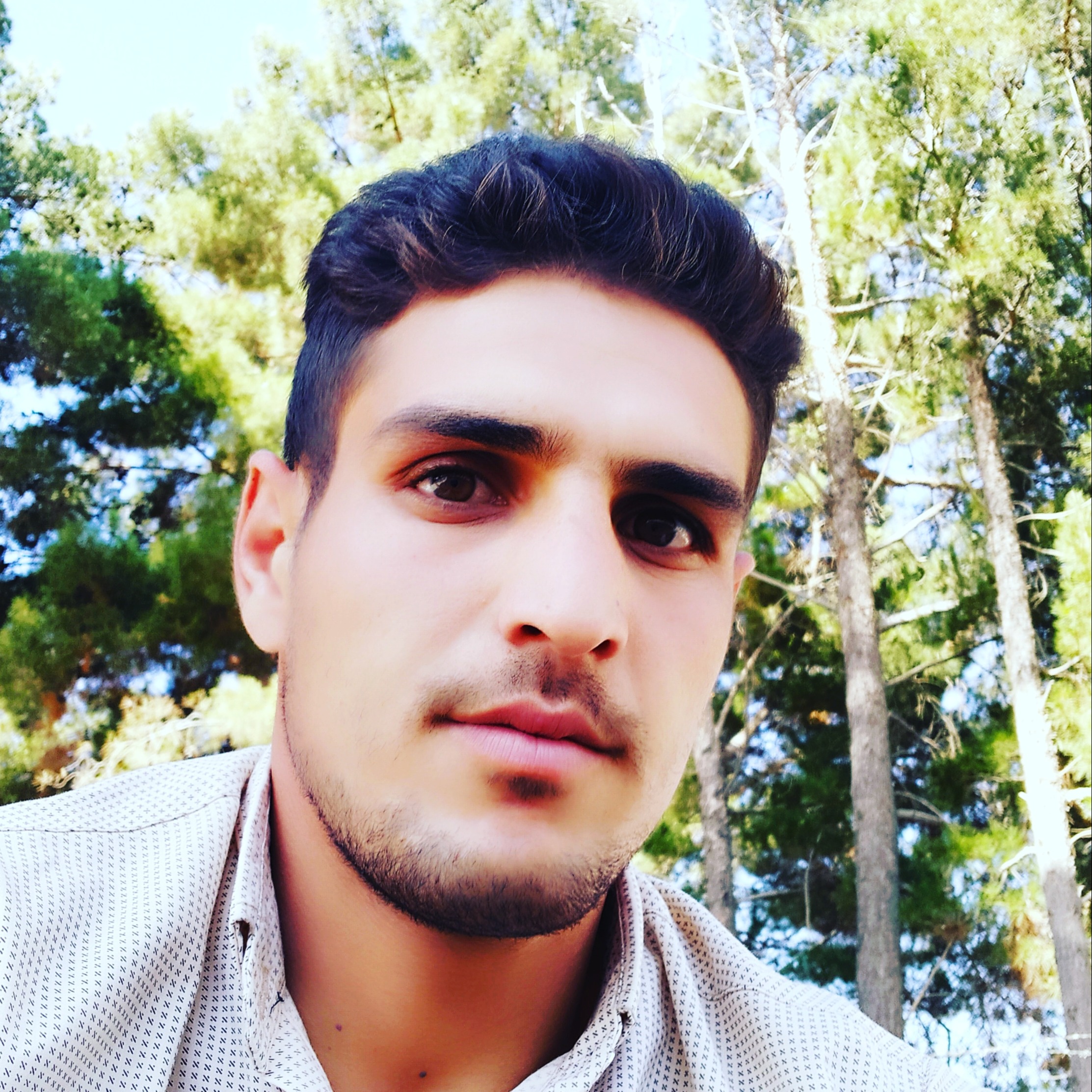 مهدی