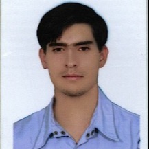 محمدرضا