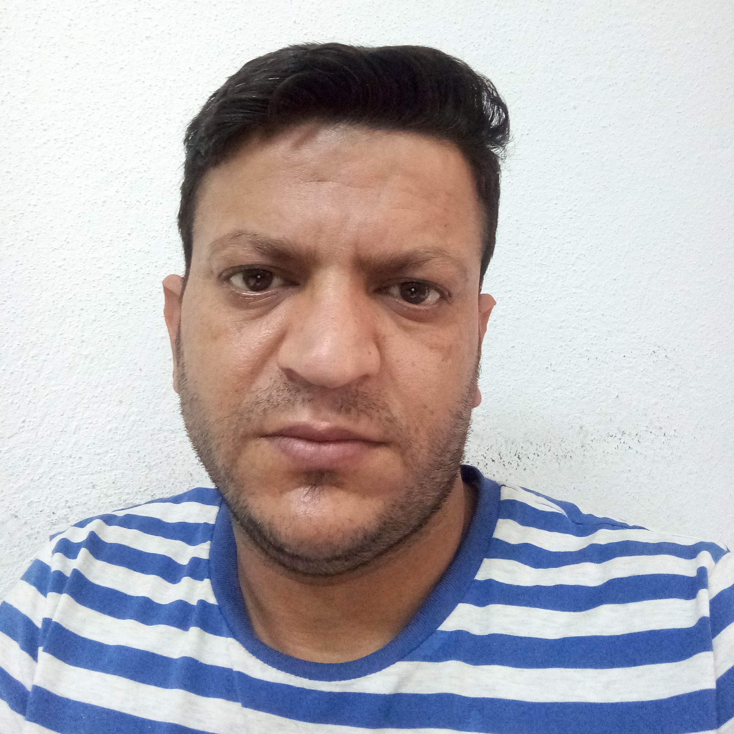 مجتبی