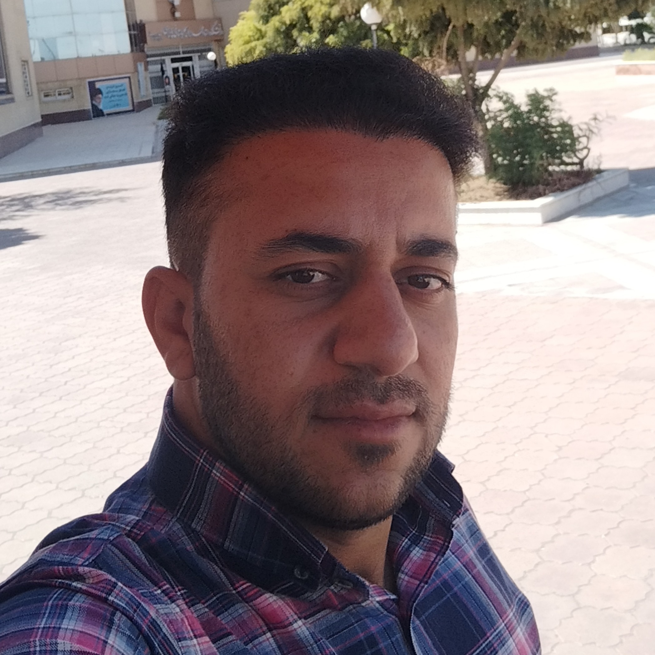 حامد