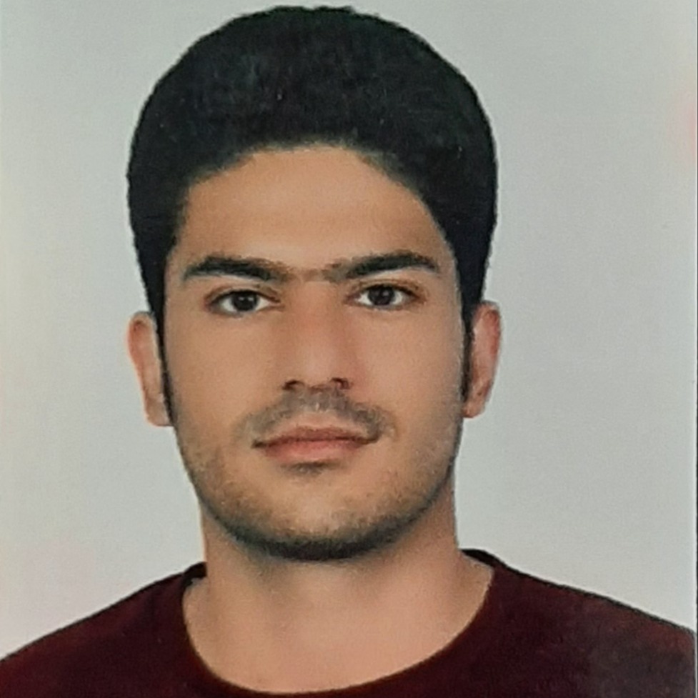 محسن