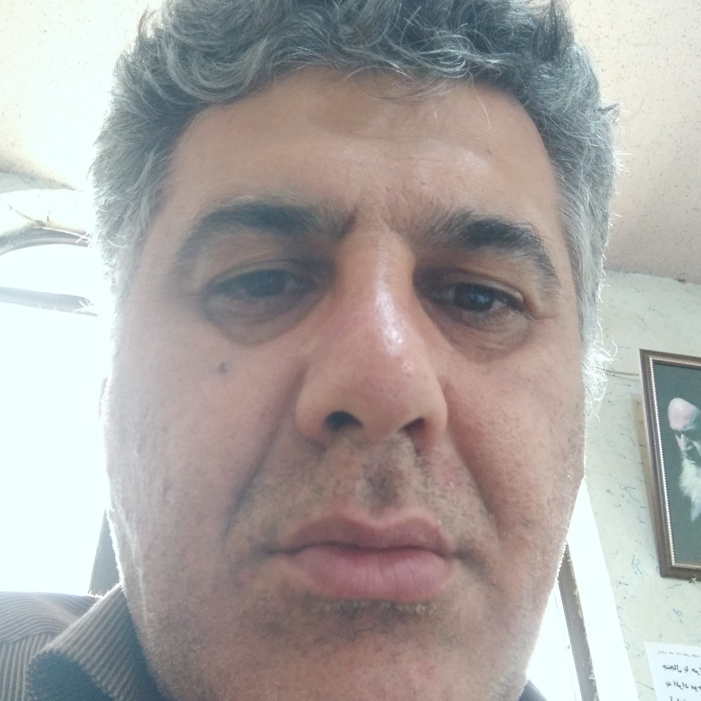 محمدرضا