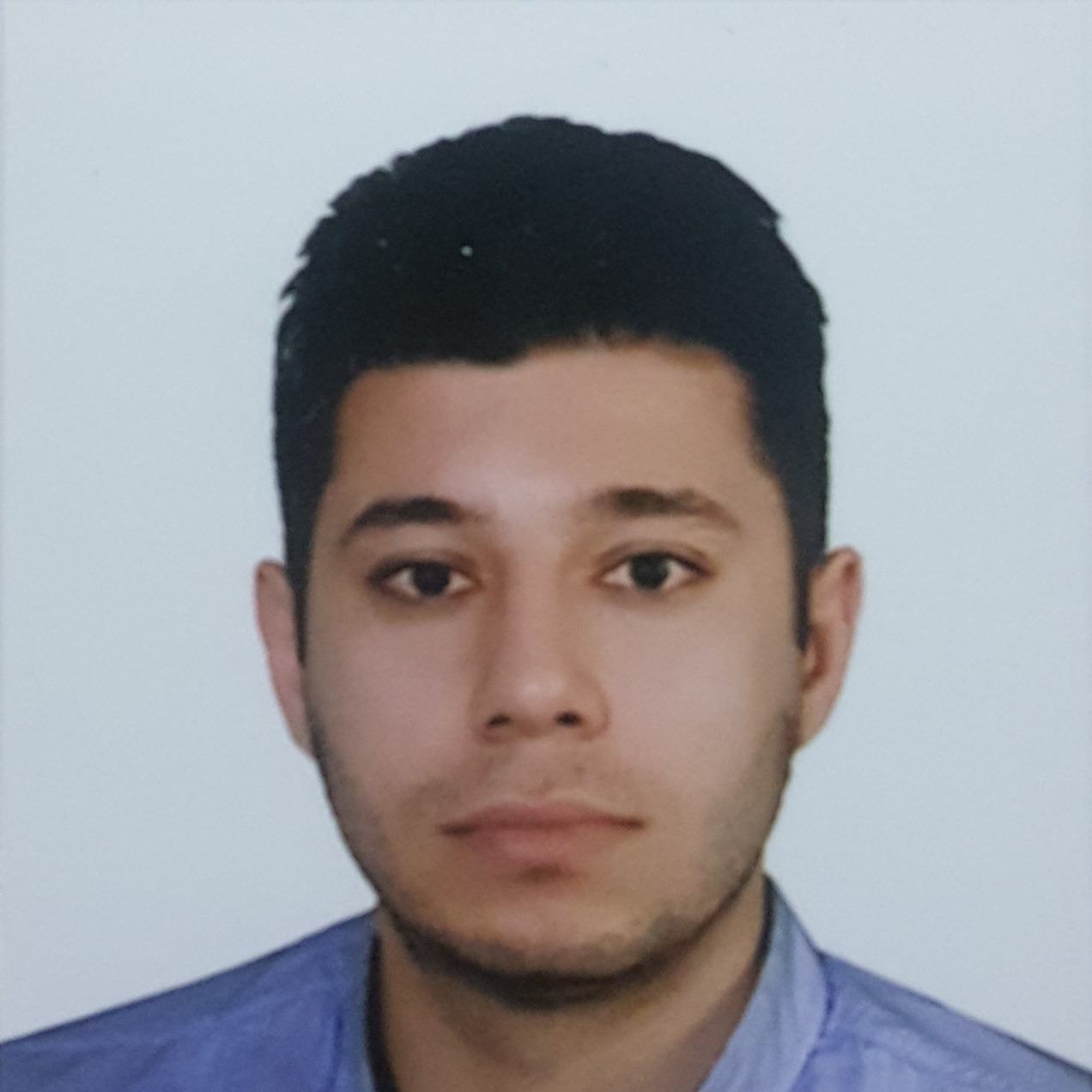 همایون