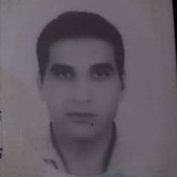 حمیدرضا