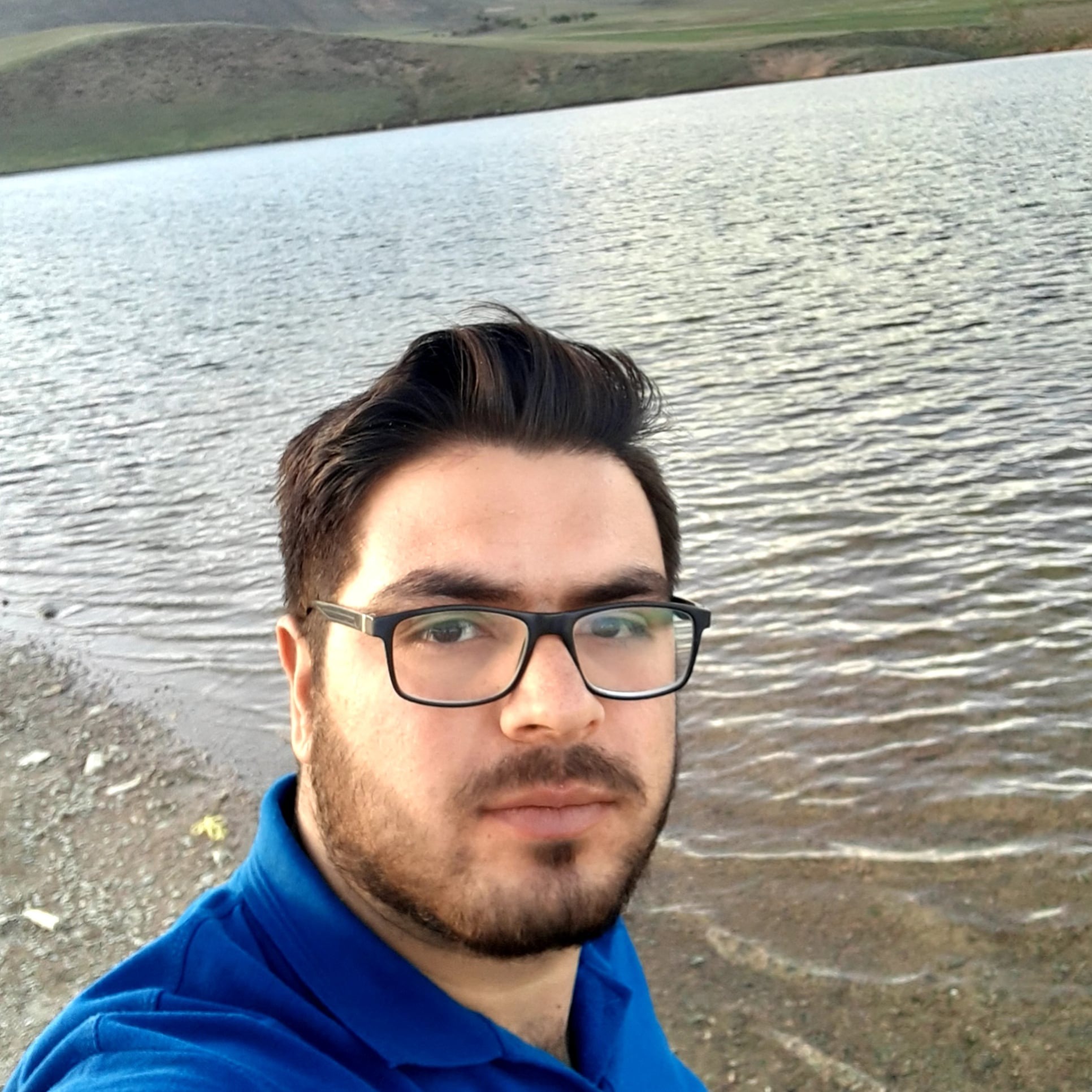 شاهین