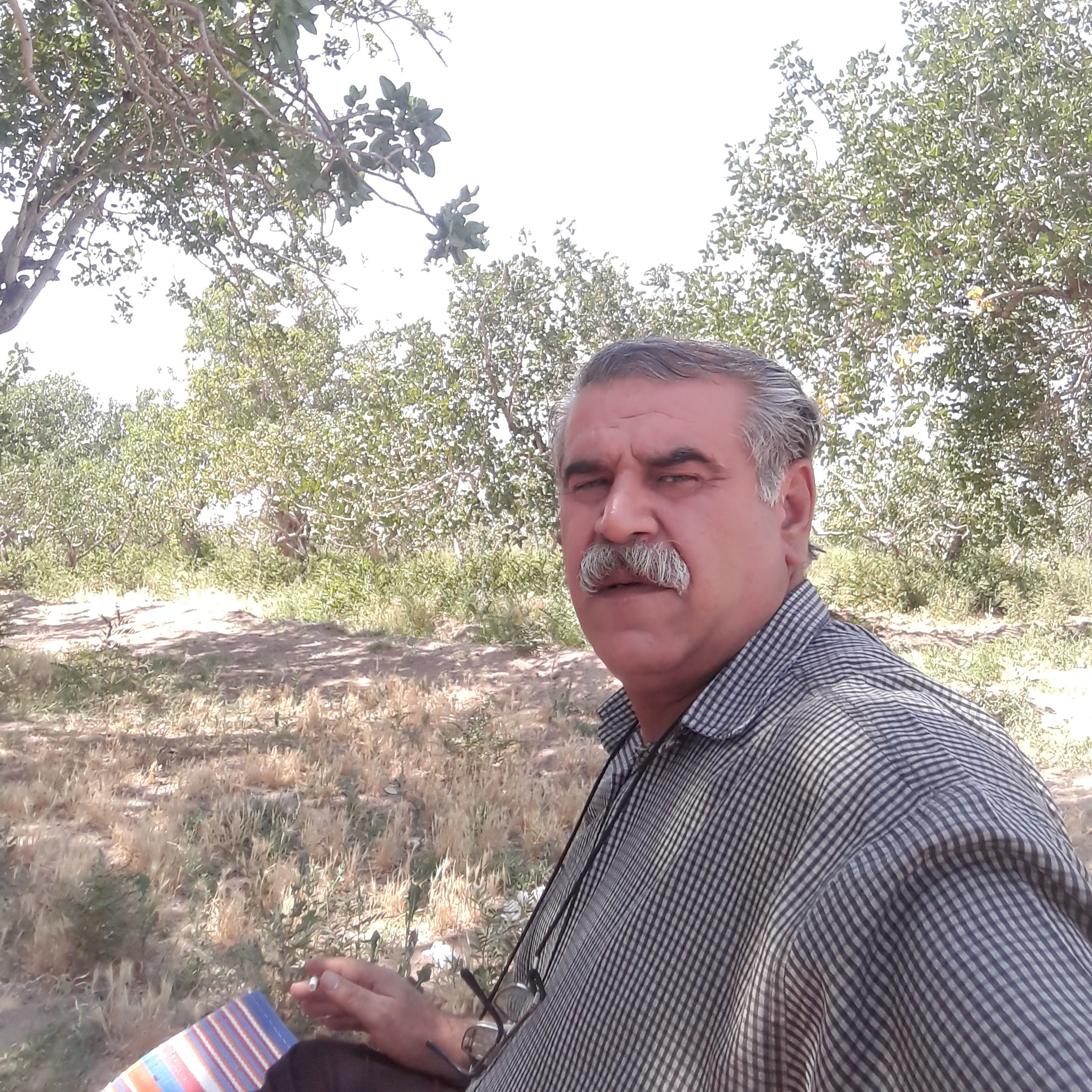 رضاقلی