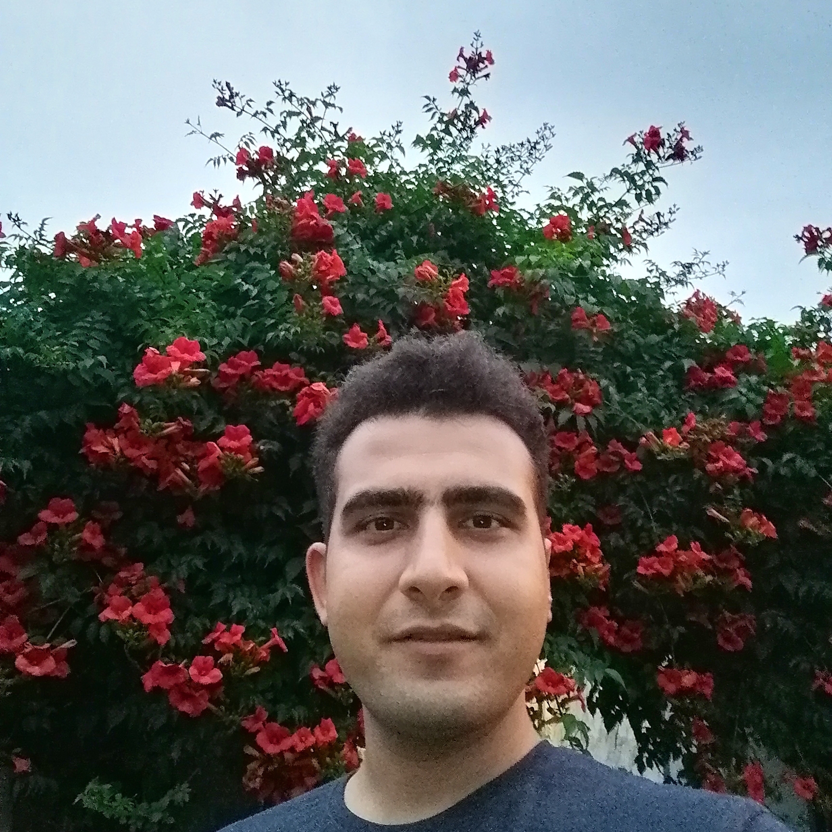 علی