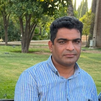 حبیب