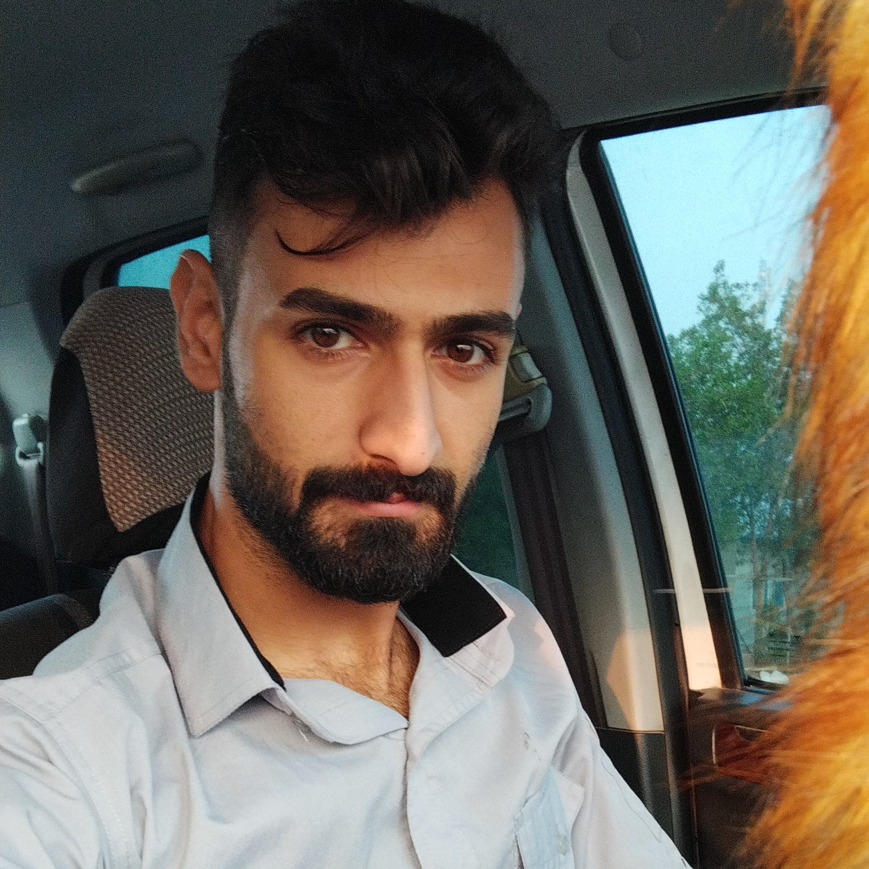 مجتبی