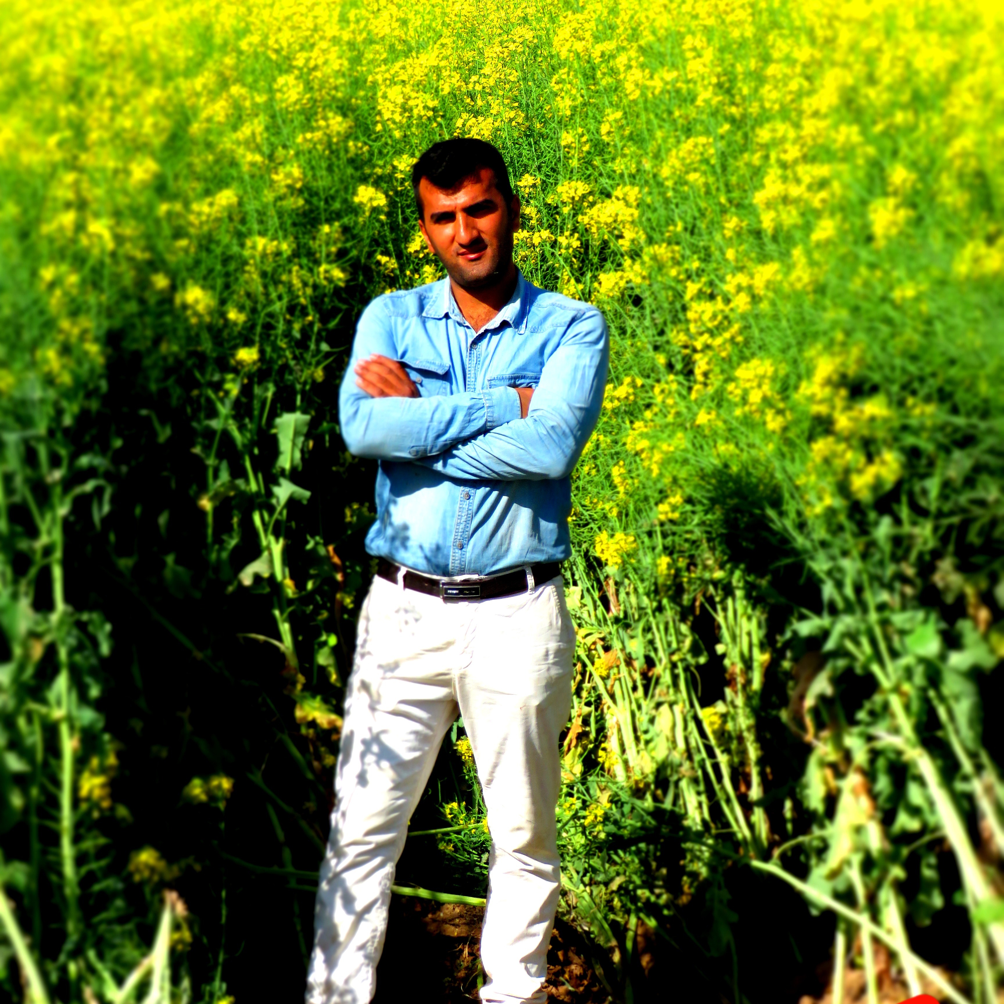 سهراب