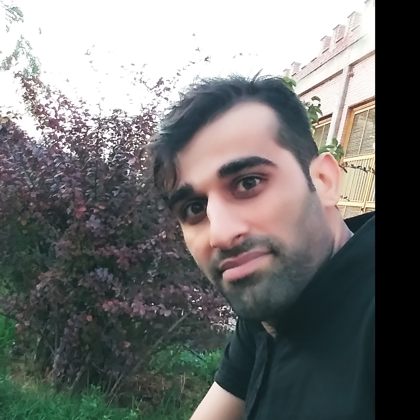 علیرضا