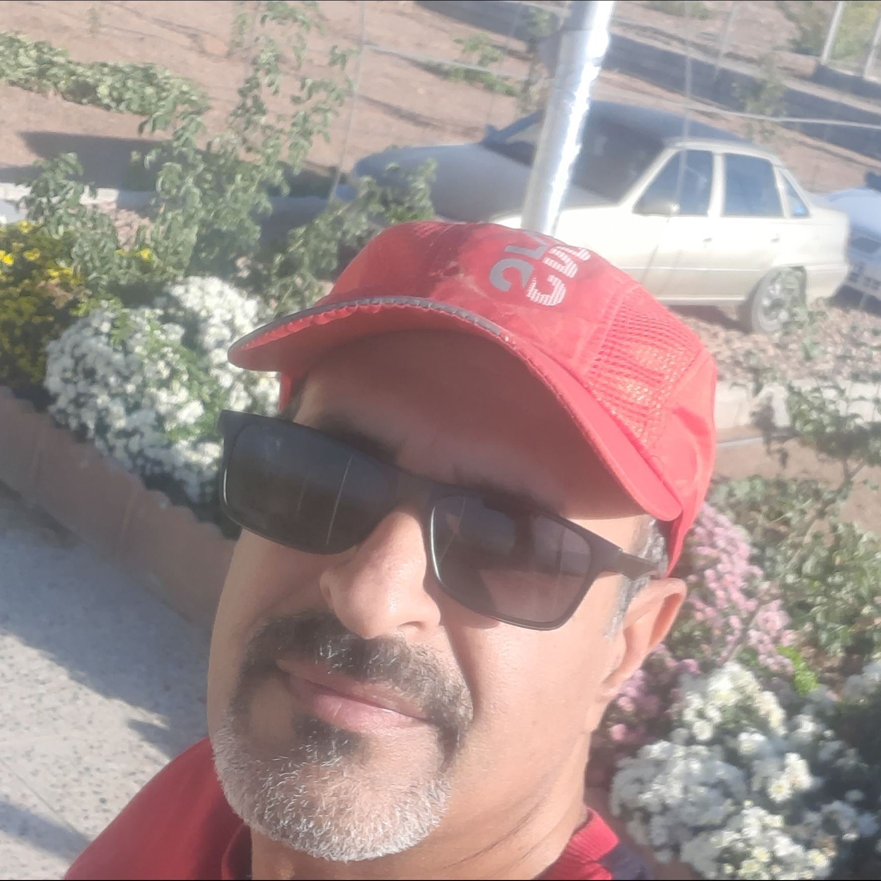 حمید