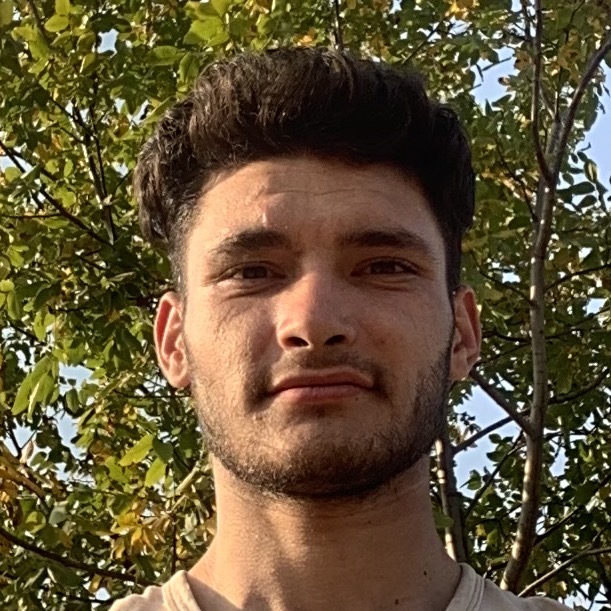 هادی