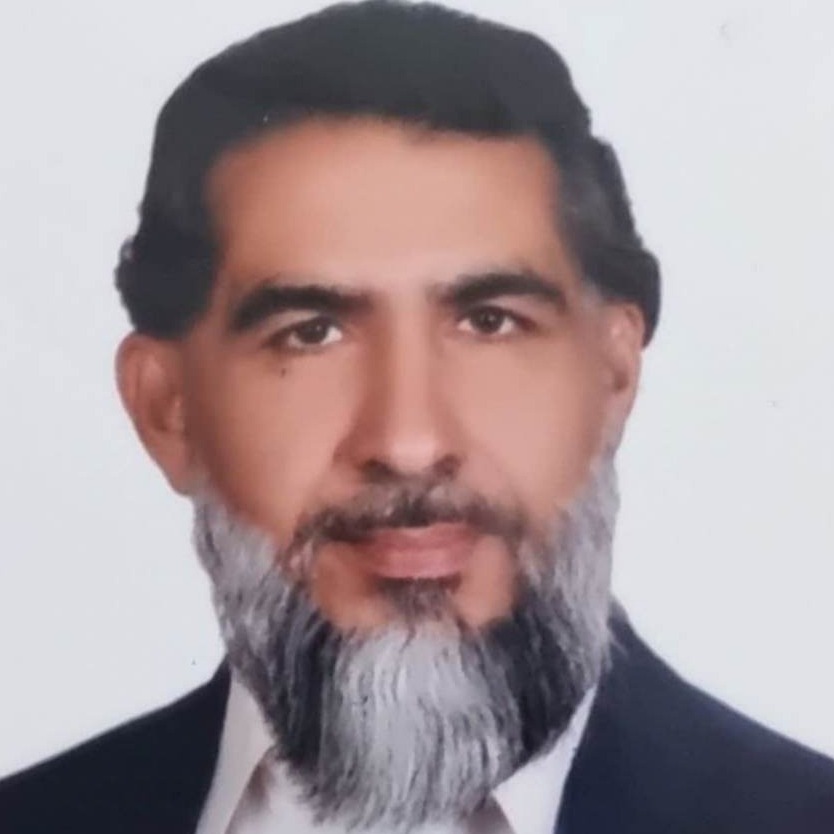 محمدرضا