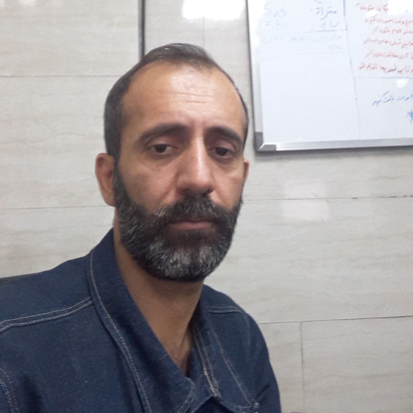 مجتبی