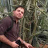 Vahid