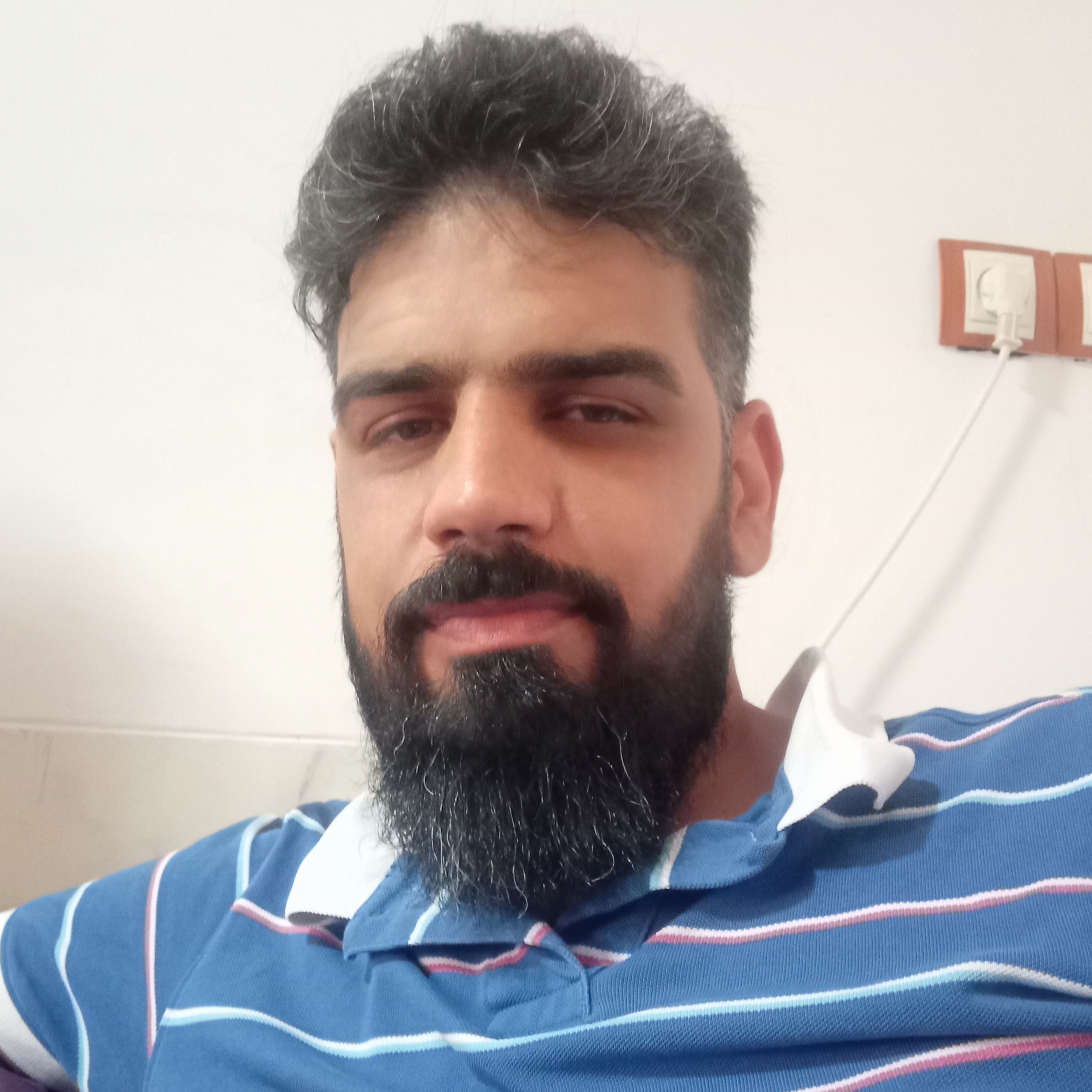 مجتبی