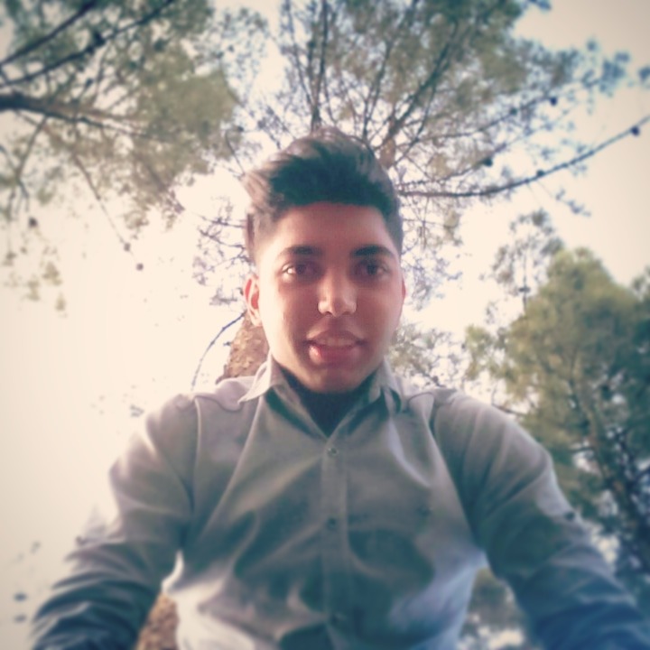 رضا