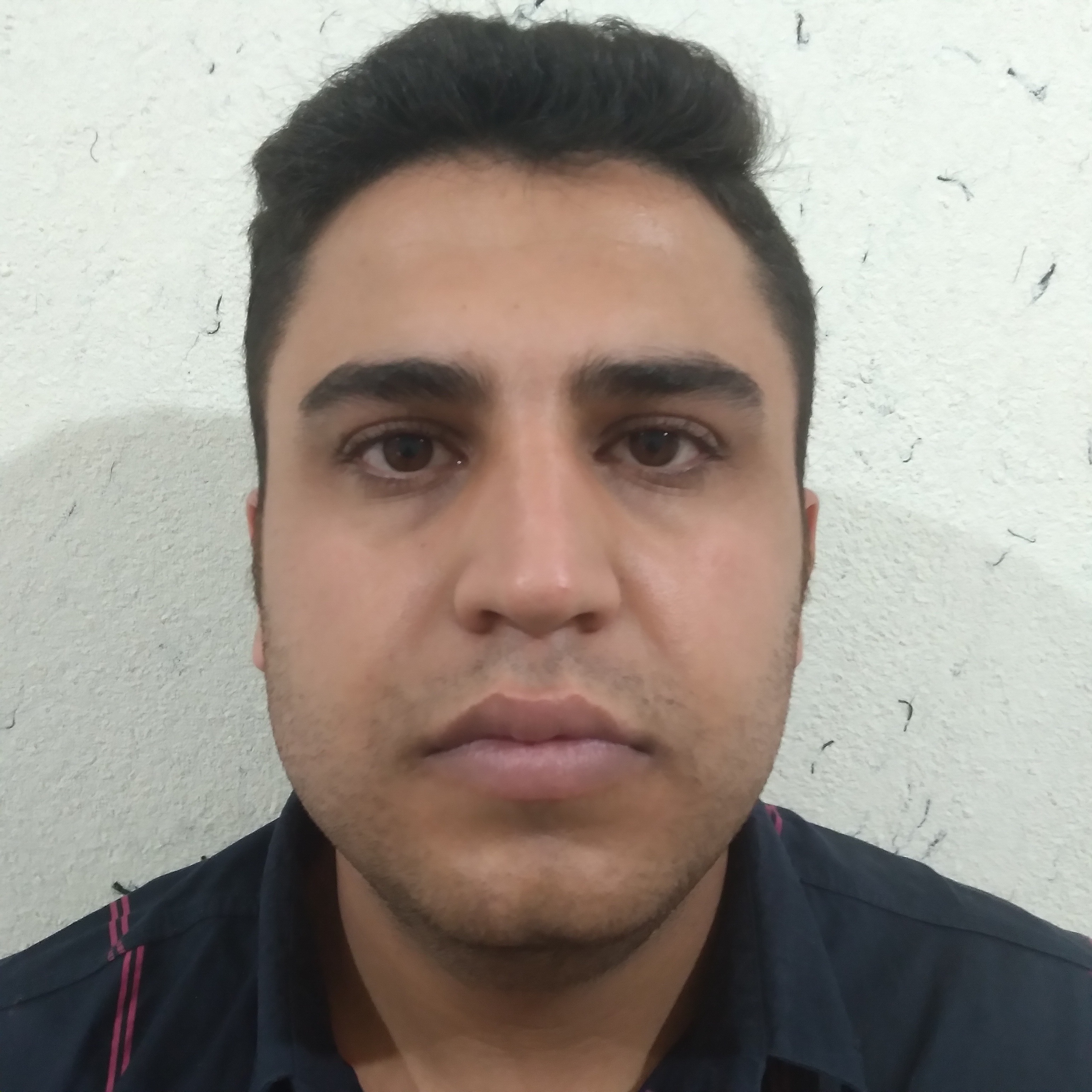 مهدی