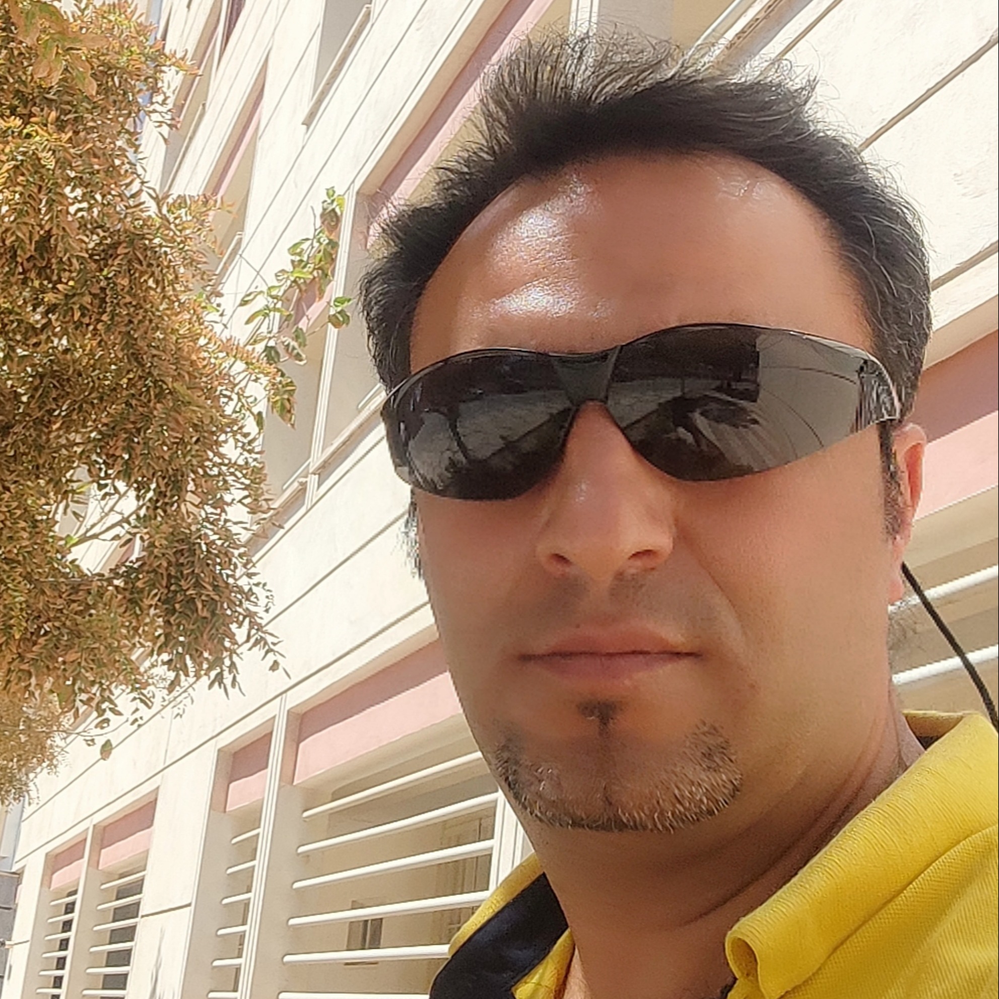 داوود