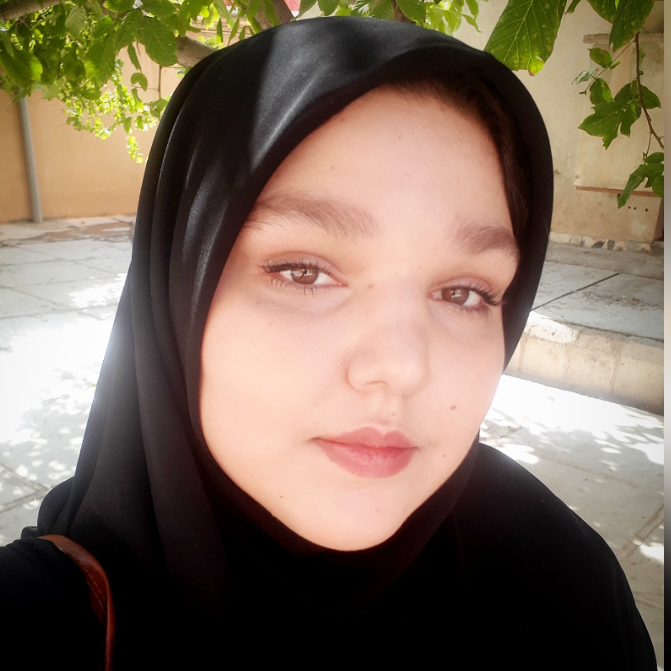 سیده