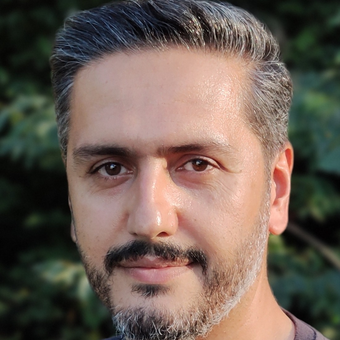 سهیل