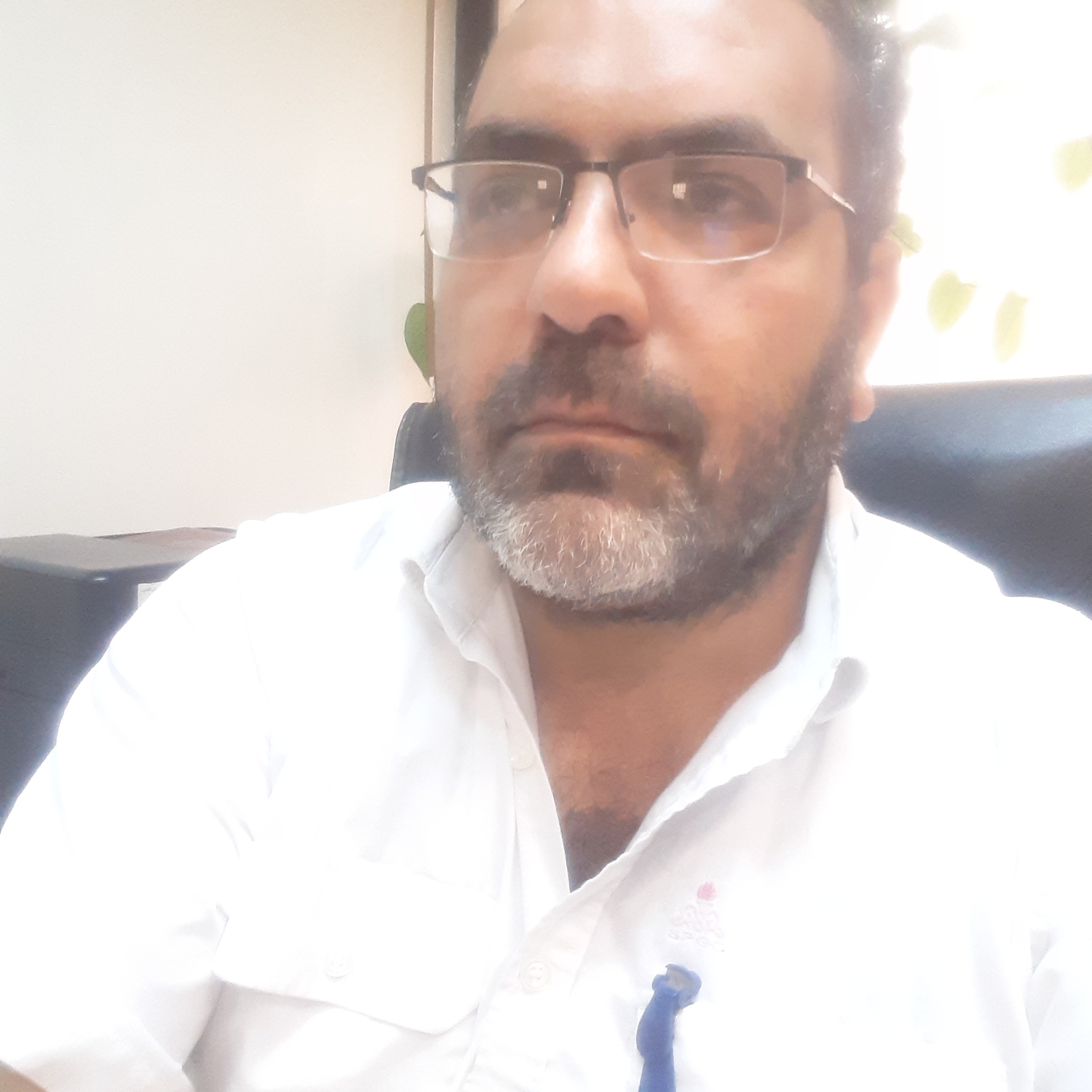 محمود