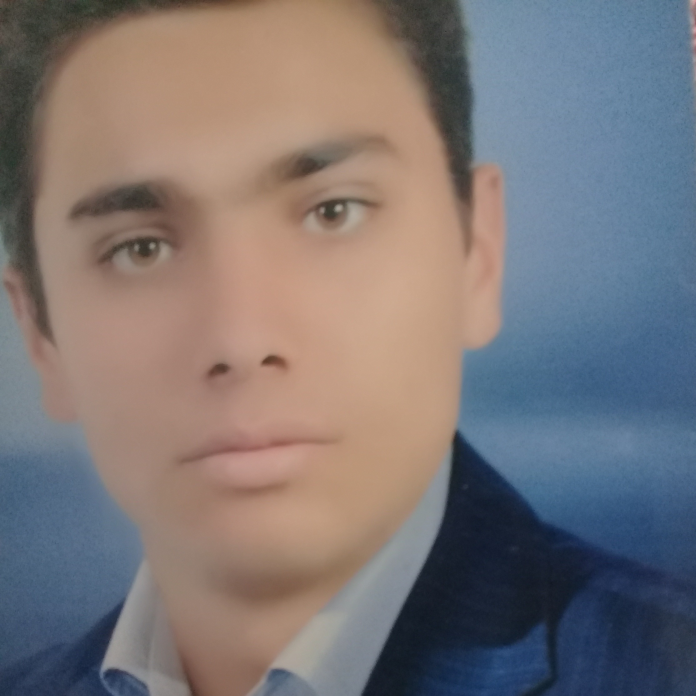 حامد