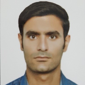 حامد