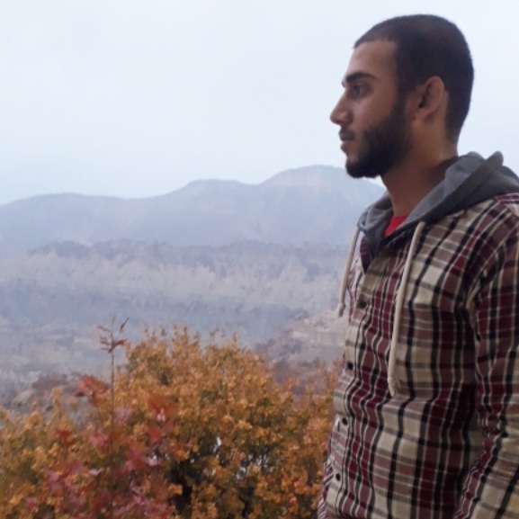 هادی