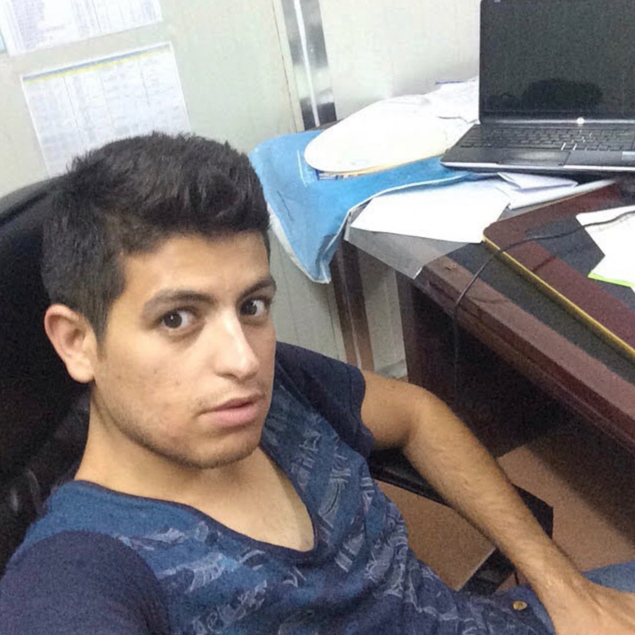 محمدرضا