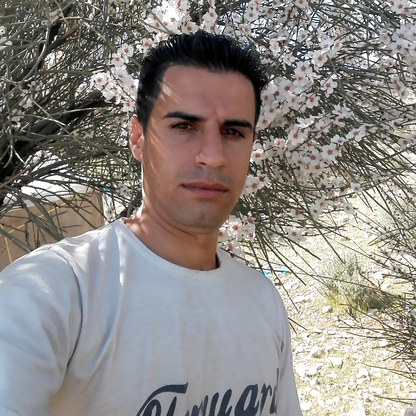 سعید