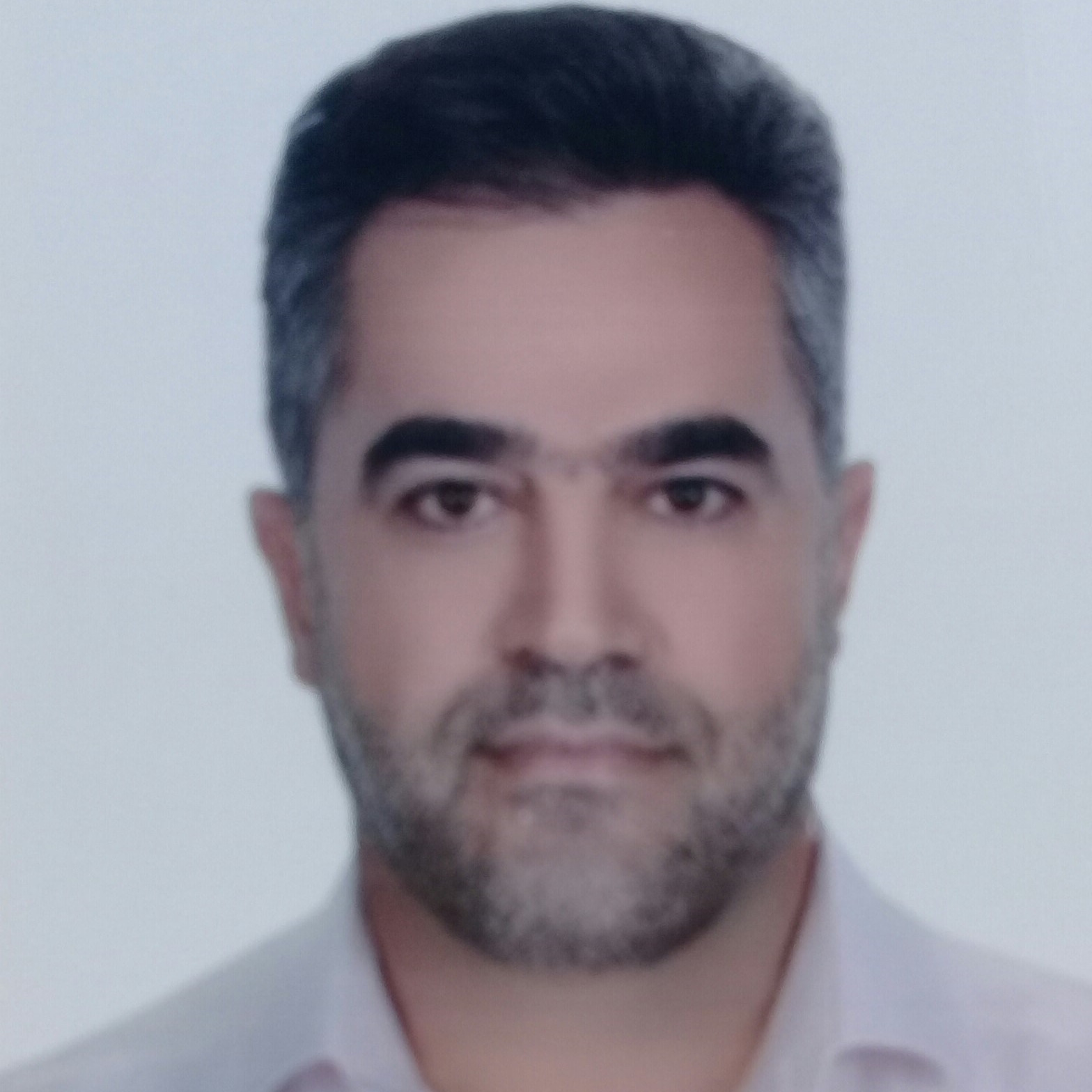 سید