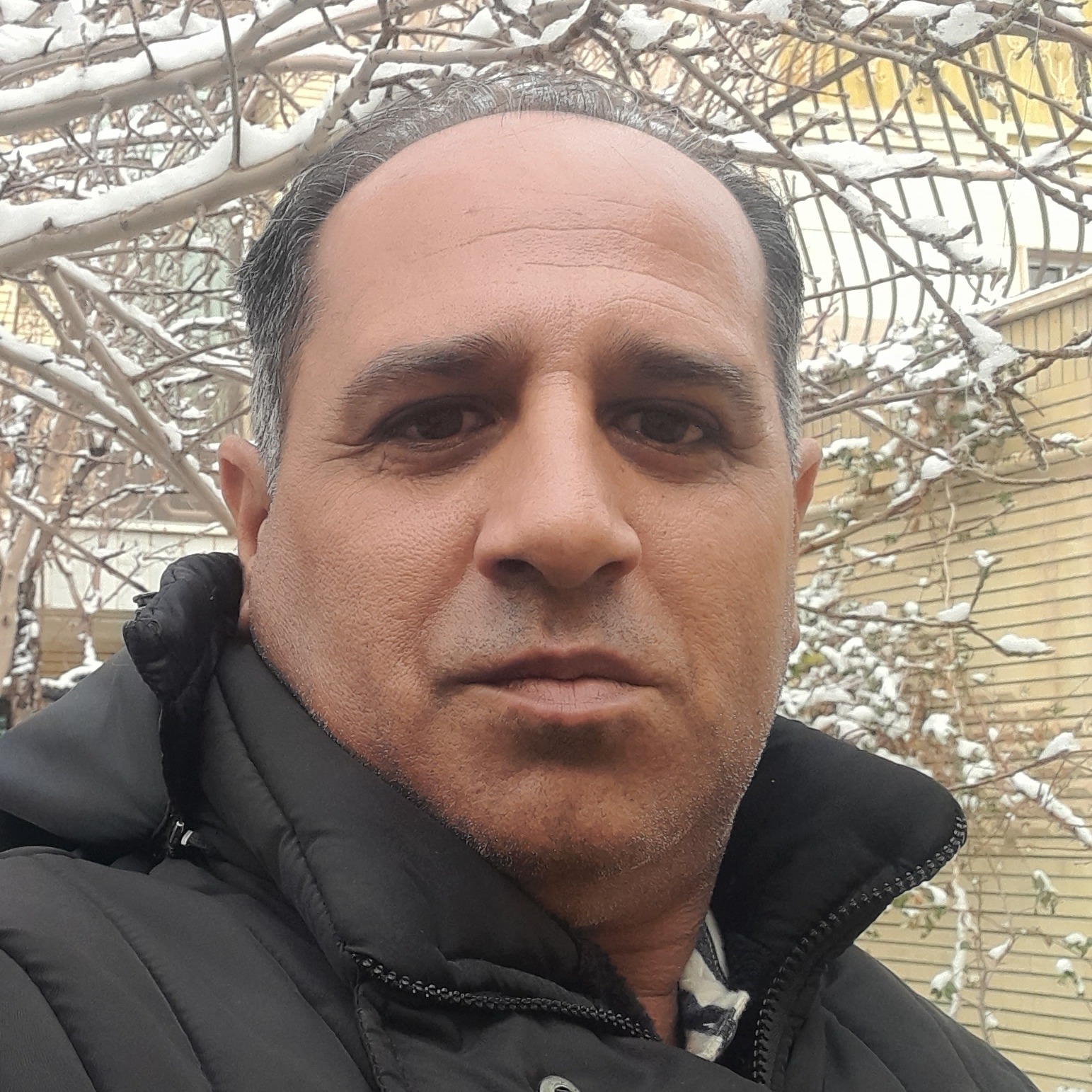 سیدمهدی