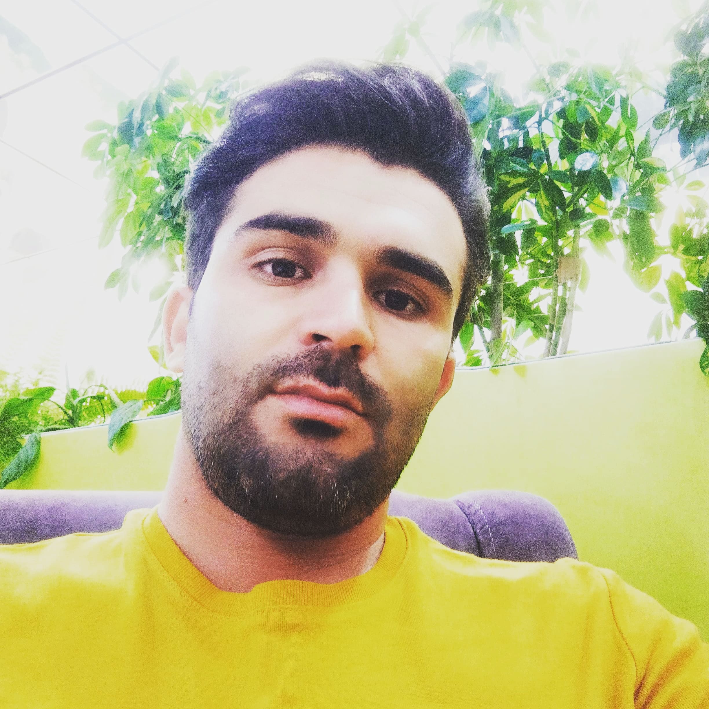 میثم