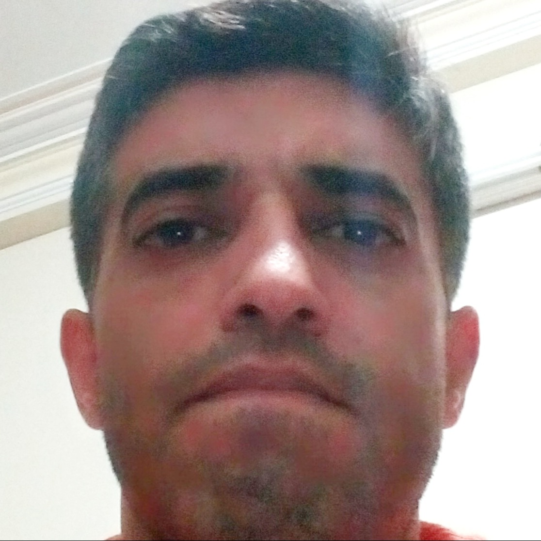 مجتبی