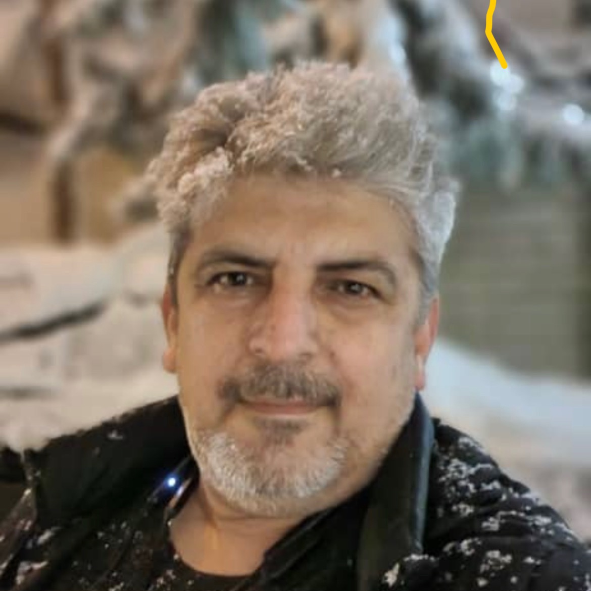 سیدعارف