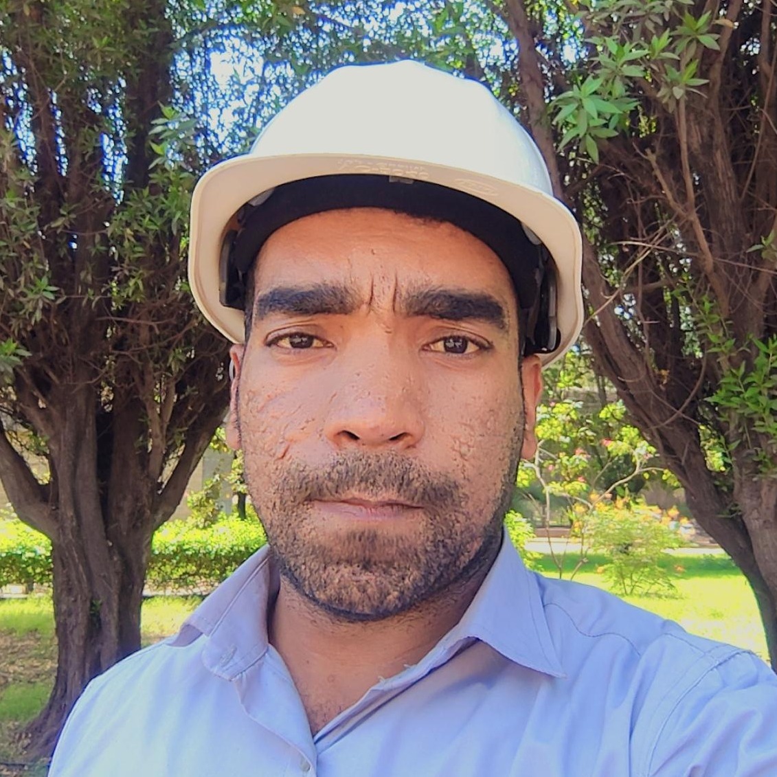 محسن