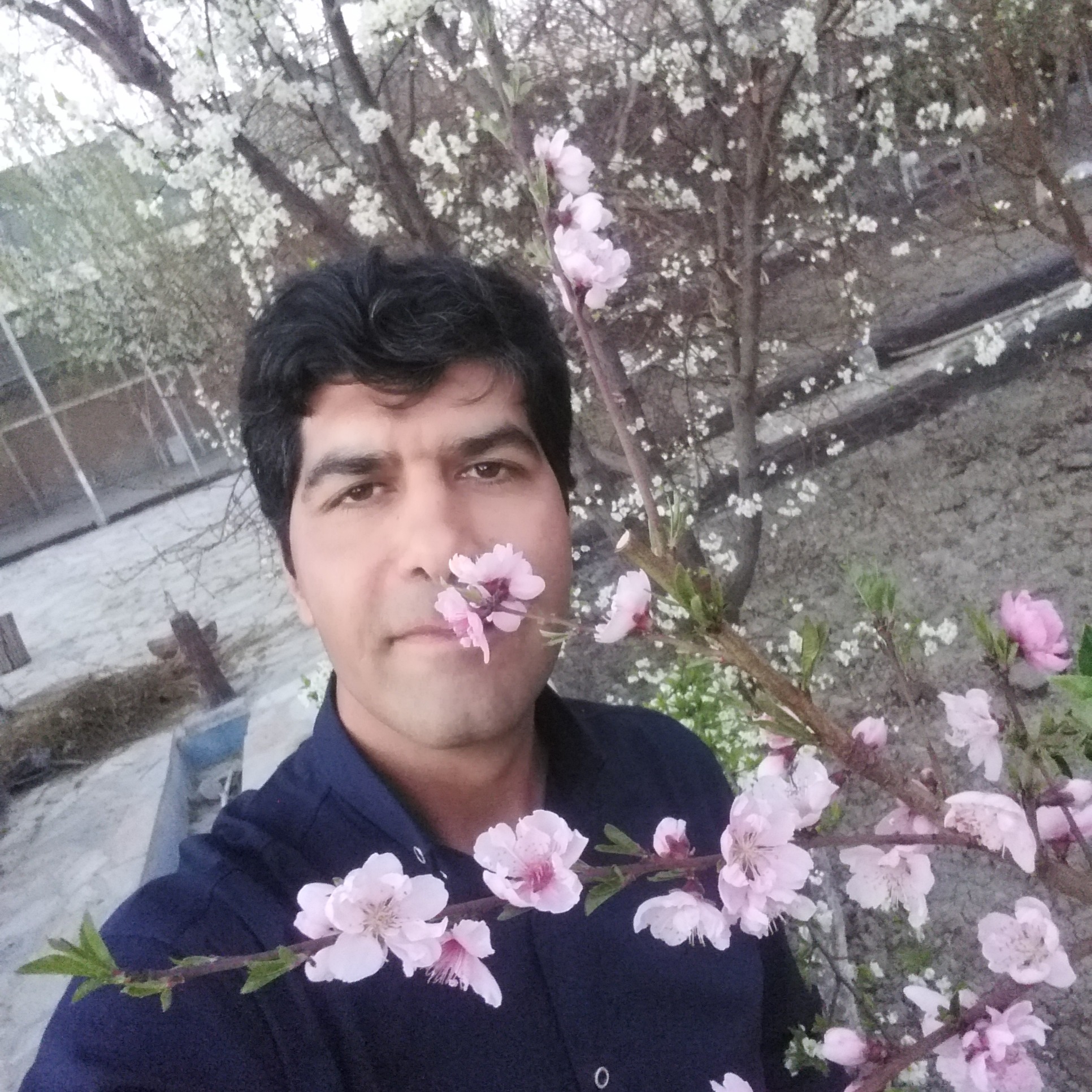 سید