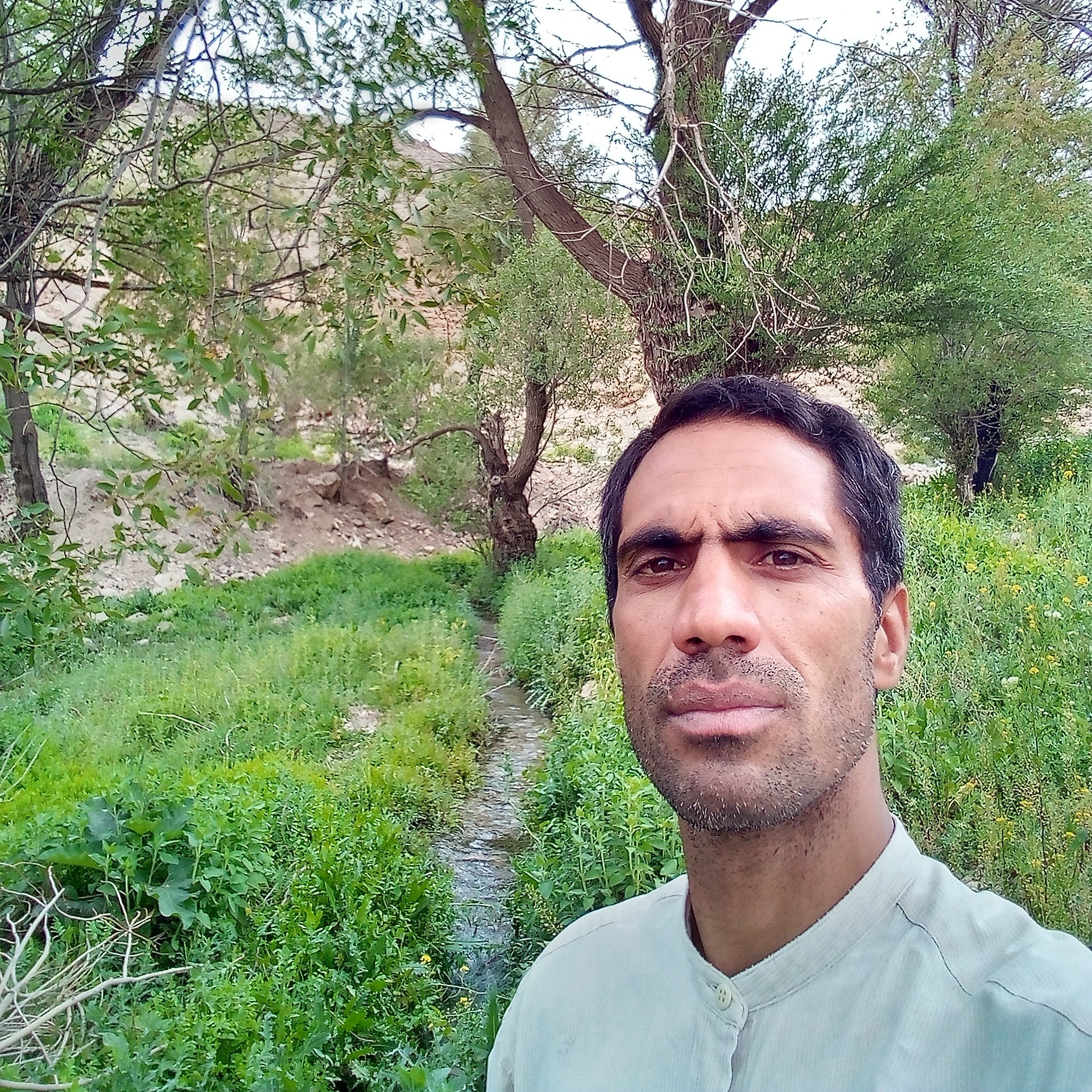 رضا