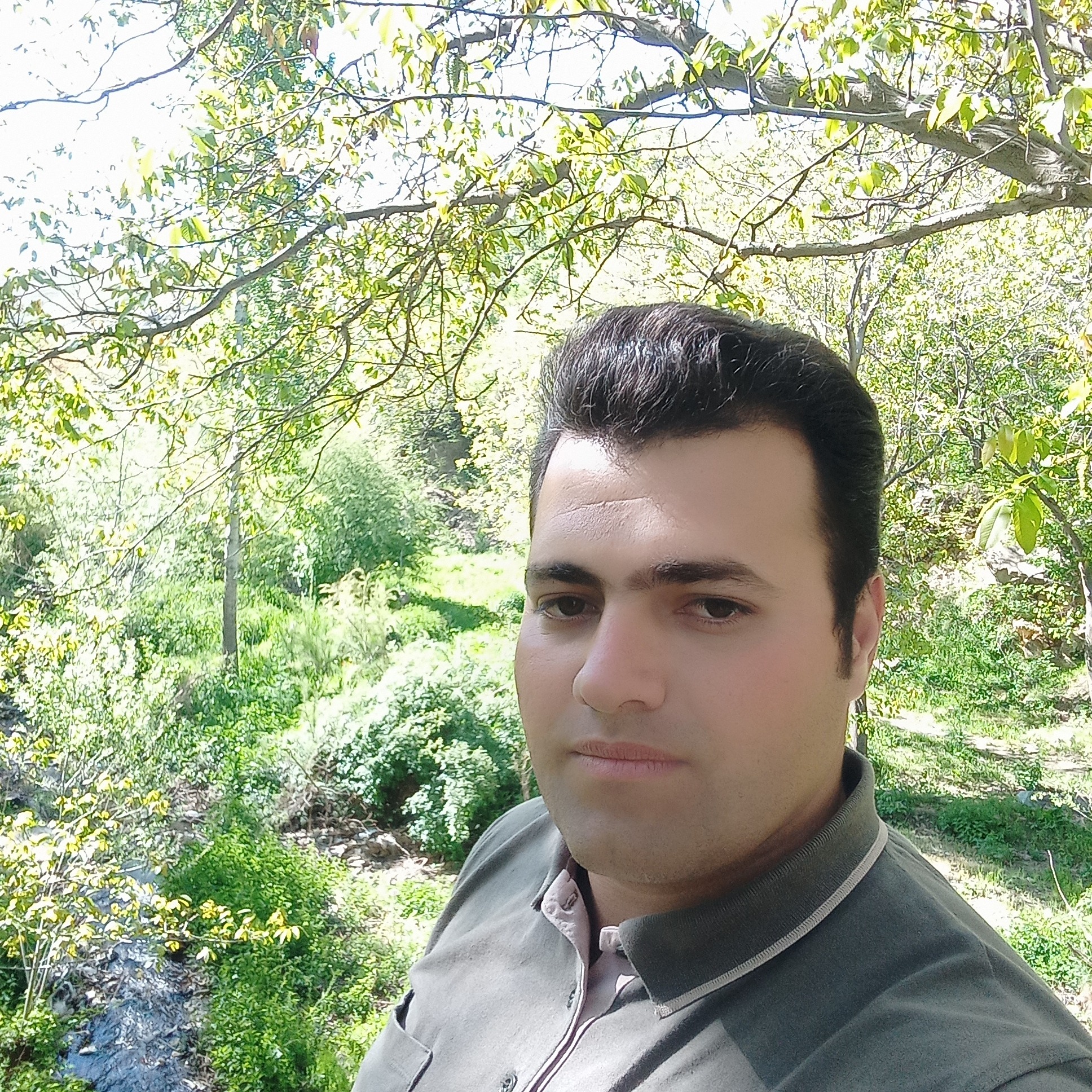 مهدی
