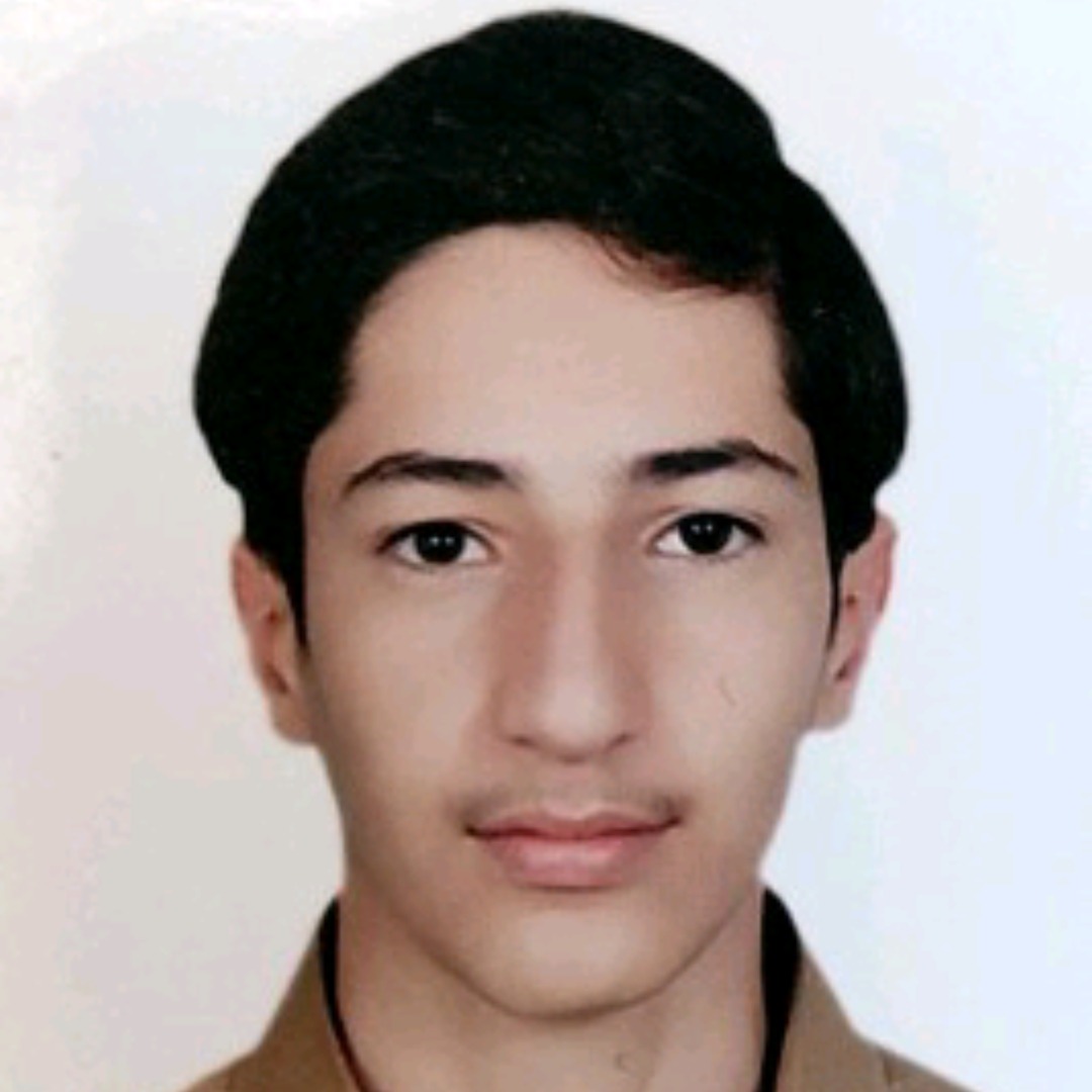 امیرحسن